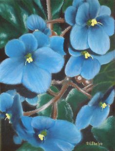 blue flowers with green leaves in the background