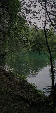 a body of water surrounded by trees and grass