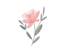 a drawing of a pink flower with green leaves