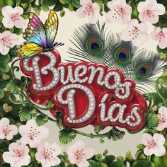 an image of flowers and butterflies with the words brengo dios on it