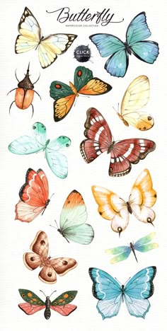 a bunch of different colored butterflies on a white background with the words butterfly written in it