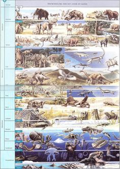 an illustrated poster showing different types of animals in the wild, including elephants and other animals