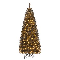 a small christmas tree with lights on it's branches and the base is black