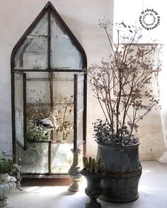 two pots with plants in them sitting on the floor next to an old glass case