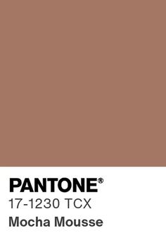 pantone's mocha mousse color is shown