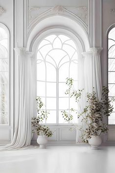 three white vases with plants in front of an arched window on a white floor