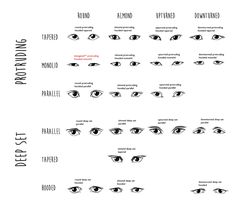 an eye chart with different types of eyes