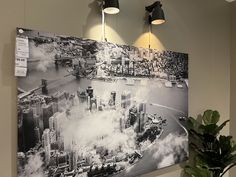 a large black and white photo hanging on the wall next to a potted plant