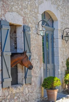 a horse sticking its head out of a window in an old stone building with shutters