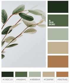 the color palette is green, brown and white with some leaves on top of it