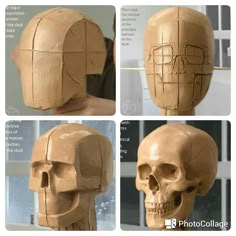 four different views of a human skull with various angles and shapes to make it look like an individual head