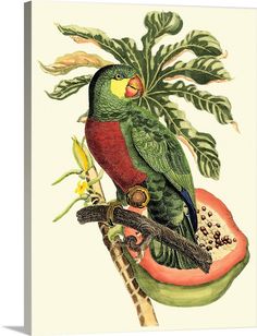 a green parrot sitting on top of a piece of fruit next to a leafy plant