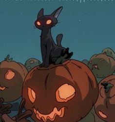 a black cat sitting on top of a pumpkin in front of many orange pumpkins