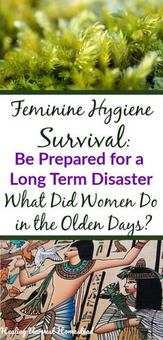 Let history be a guide for female hygiene needs in case of a disaster or long term survival. Find out how women dealt with their periods throughout history, plus lots of ideas for how to be prepared for a short-term or long-term emergency. Even if you’re a man, you need to be prepared---so your ladies don't have to use moss! Great barter item ideas. #emergency #period #menstruation #femininehygiene #disaster #preparedness #survival #homeremedy #healingharvesthomestead Survival Crafts, Long Term Survival, Feminine Odor, Female Hygiene, Primitive Living, Emergency Prepardness, Survival Ideas, Doomsday Prepping, Dream Farm