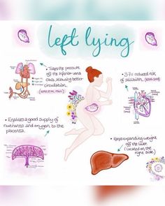 the diagram shows how livers work and what they can do