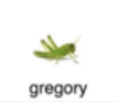 a green frog with the word greoy on it's back and side