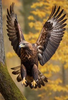 an eagle is perched on the branch of a tree with its wings spread wide open