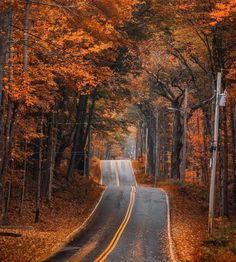 an empty road surrounded by trees in the fall