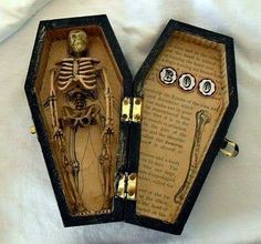 an open box with a skeleton in it