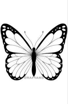 a black and white butterfly with wings spread out to the side, on a white background