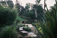 a person sitting on a bench in the middle of a garden with lots of trees