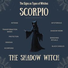 the signs as types of witches scorpio, shadow witch, and mysterious woman