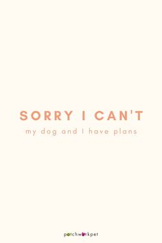 the words sorry i can't, my dog and i have plans on it