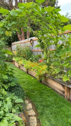 an outdoor garden with lots of plants and flowers in the grass, along side a wooden fence