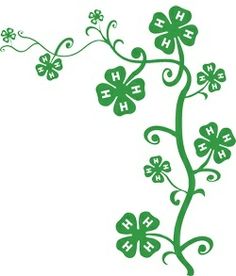 a green plant with four leaves and the words happy st patrick's day