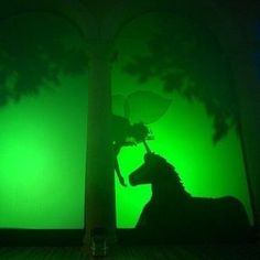 the shadow of a horse is cast against a green wall with an umbrella on its head