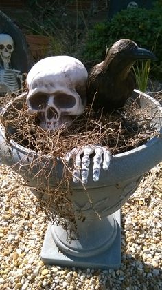 there is a skull in the planter with two hands on it and a bird's nest