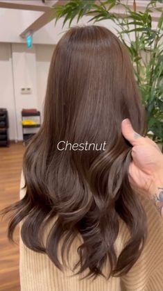 Hair Color For Morena Skin, Hair Color For Tan Skin, Hair Color For Morena, Hair Color For Brown Skin, Hair Color Guide, Hair Color Mahogany, Look And Find, Effortless Waves