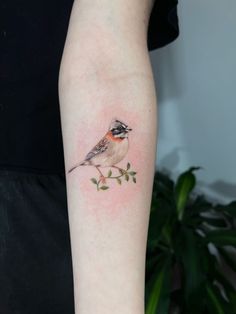 a small bird sitting on top of a branch with leaves around it's neck