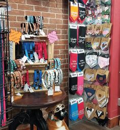 a dog sitting in front of a display of ties