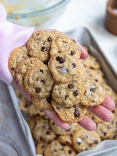 a person holding up a cookie in front of a pan full of chocolate chip cookies