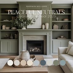 a living room filled with furniture and a fire place in front of a book shelf