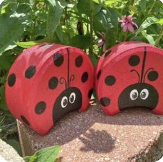 two red ladybugs sitting on top of a rock