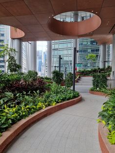 an indoor garden with lots of green plants and trees in the center, surrounded by high rise buildings