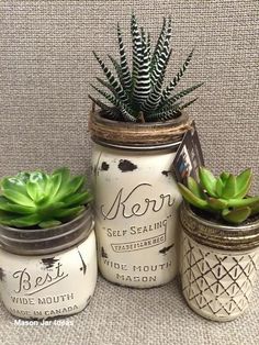 three mason jars with plants in them sitting on a cloth covered surface, one has a succulent and the other is a pineapple