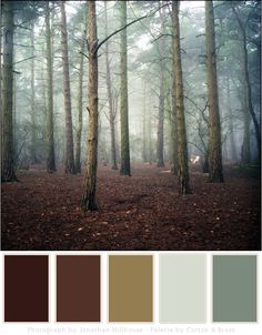 a forest filled with lots of trees covered in fog and brown leaves on the ground