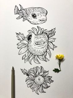 Drawings of Animals and Flowers Pufferfish Tattoo, Pufferfish Drawing, Puffer Fish Tattoo, Enchanted Ocean, Noel Badges Pugh, Baby Porcupine, Ocean Sleeve, Drawings Of Animals