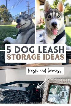 a collage of photos with the words 5 dog leash storage ideas