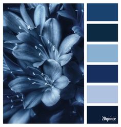 the color scheme is blue and gray with white flowers on it, as well as some dark