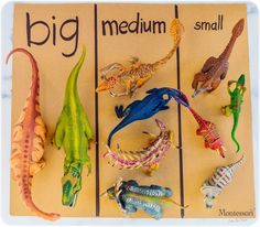 there are many small toy dinosaurs on the table with each one's own name