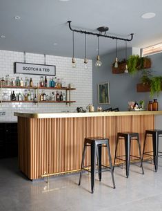 a bar with three stools in front of it and plants hanging from the ceiling