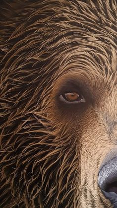 a brown bear's eye is shown in this close up photo