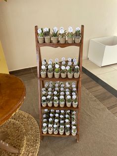 a shelf filled with potted plants on top of a carpeted floor next to a wooden table