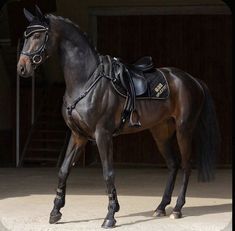 a brown horse standing in front of a wooden stable with its saddle on it's back