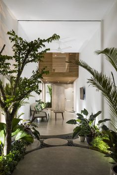 the interior of a modern house with plants and potted trees on either side of the entryway