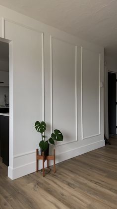 there is a potted plant in the corner of this room with white paneling